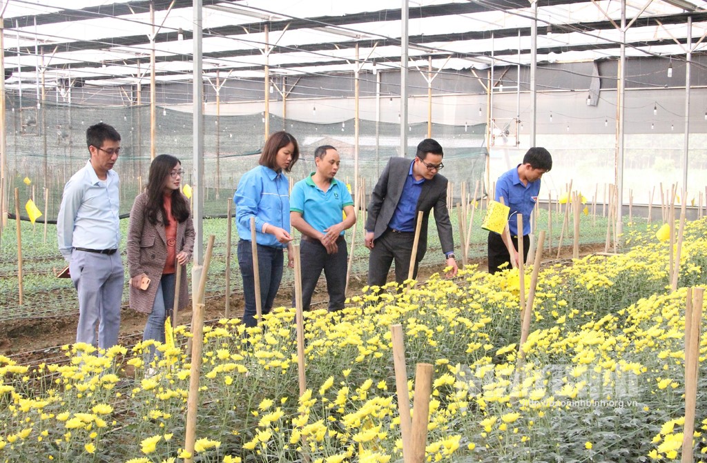 Bảo vệ môi trường với mô hình khởi nghiệp nuôi dê kết hợp trồng hoa